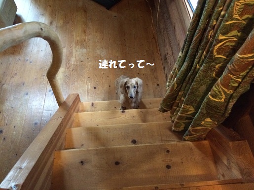 階段の下.jpg